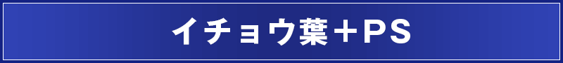 イチョウ葉＋PS